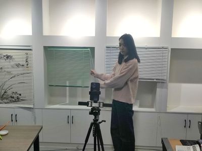 小窗簾撬動大產業(yè)，電商連通致富路——窗飾產業(yè)的興旺發(fā)展與電商轉型之路